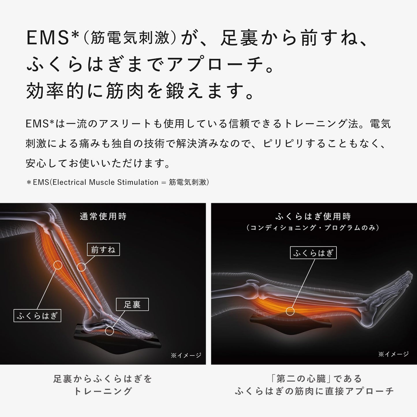 シックスパッド フットフィット/SIXPAD Foot Fit + 公式ショッパー