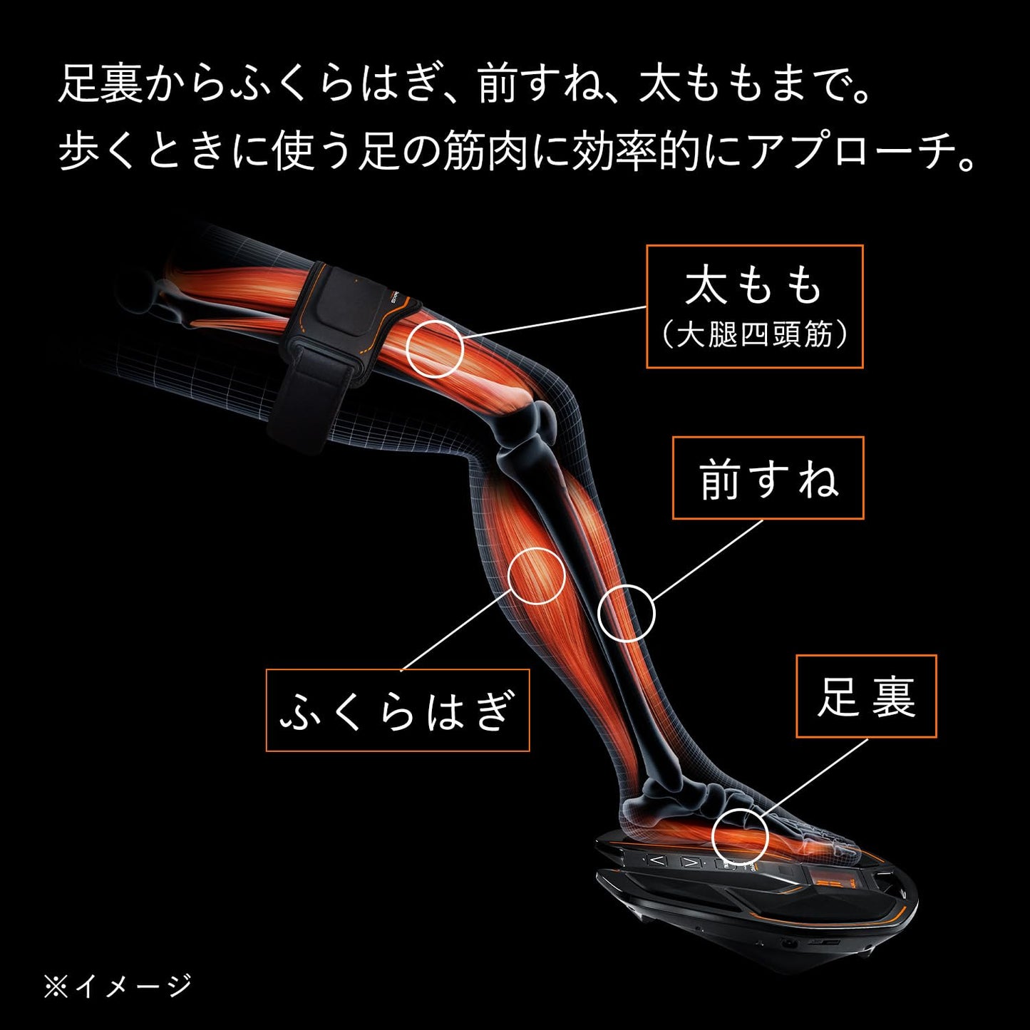 シックスパッド フットフィット/SIXPAD Foot Fit + 公式ショッパー